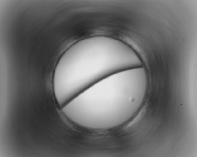X0000092071137200709262041