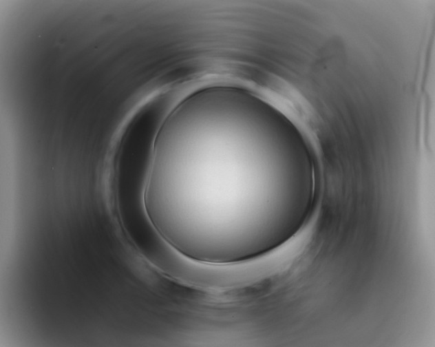 X0000092071138200709262041