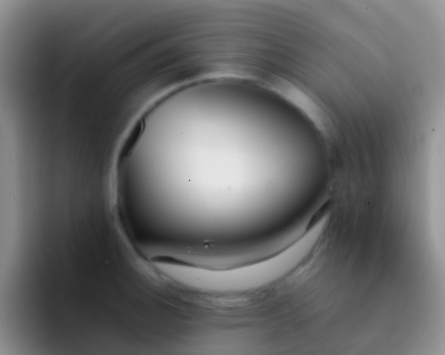 X0000092071140200709262041