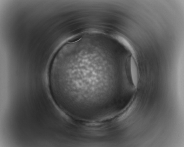 X0000092071141200709262041