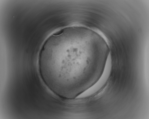 X0000092071142200709262041