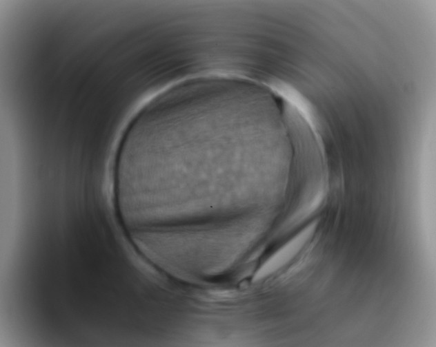 X0000092071144200709262041
