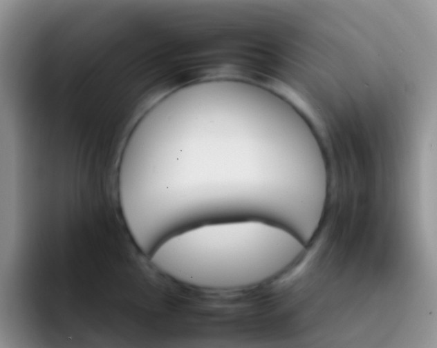 X0000092071145200709262041