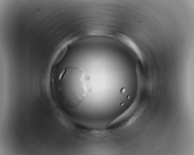 X0000092071146200709262041