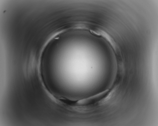 X0000092071147200709262041