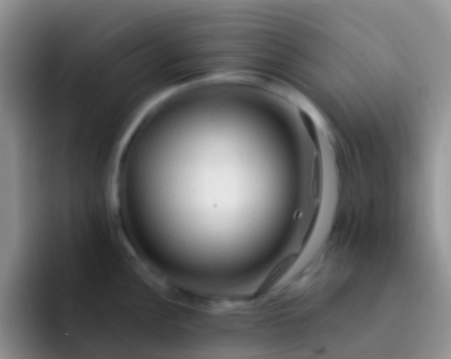 X0000092071148200709262041