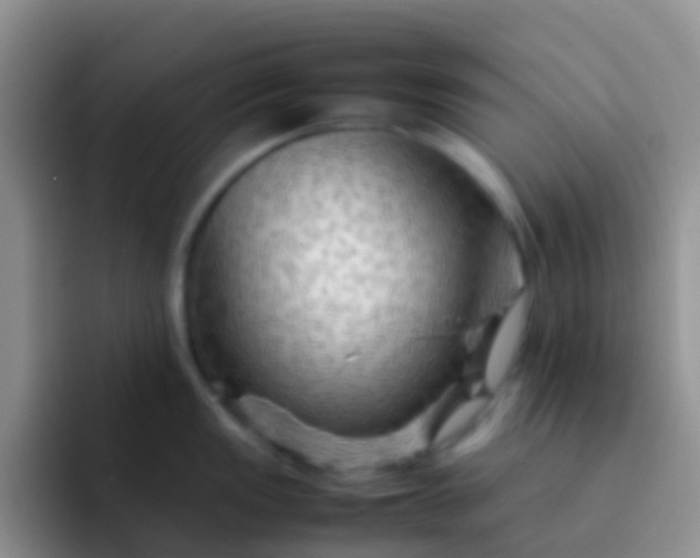 X0000092071149200709262041