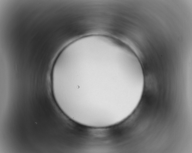 X0000092071150200709262041