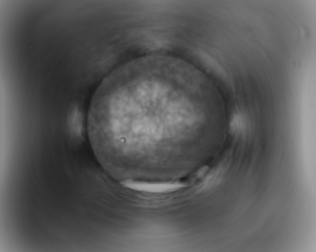 X0000092071156200709262041