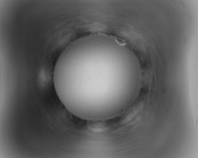 X0000092071157200709262041
