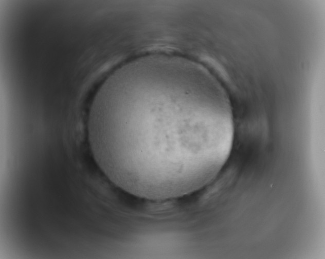 X0000092071159200709262041