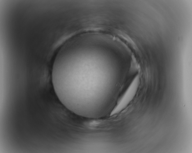 X0000092071160200709262041