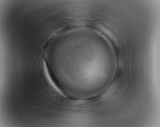 X0000092071161200709262041