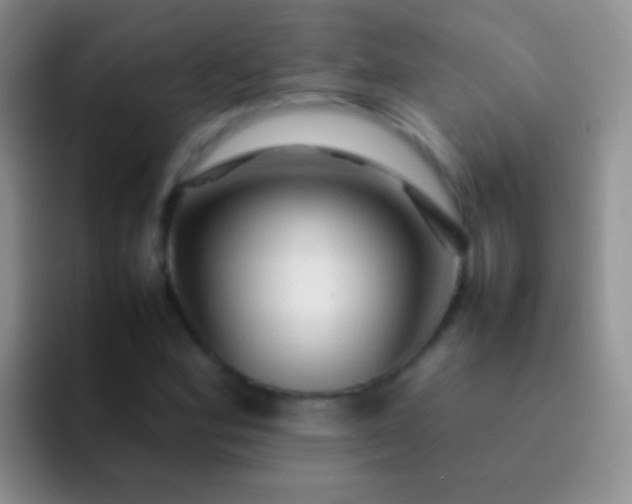 X0000092071164200709262040