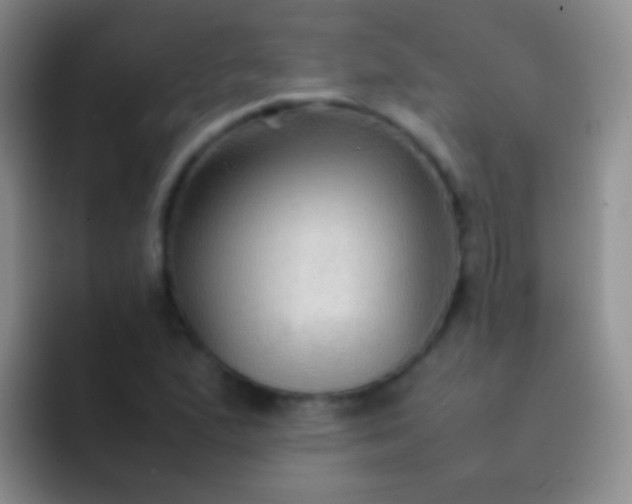 X0000092071167200709262040