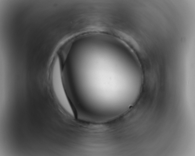 X0000092071168200709262040