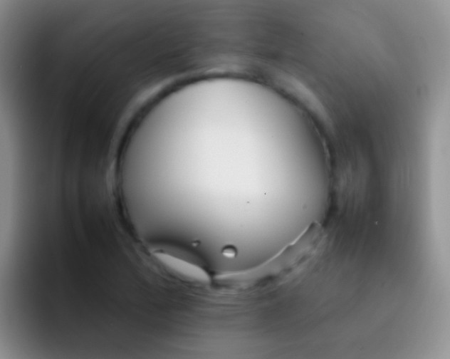 X0000092071172200709262040