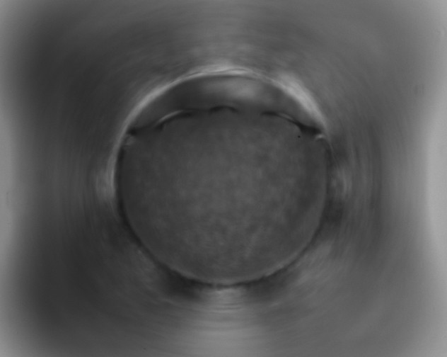 X0000092071173200709262040
