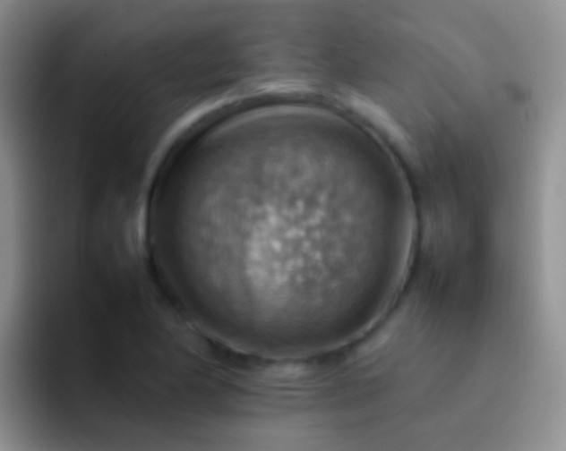 X0000092071174200709262040