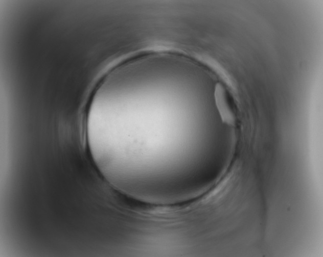 X0000092071175200709262040