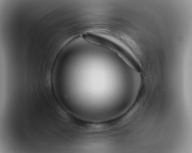 X0000092071177200709262040
