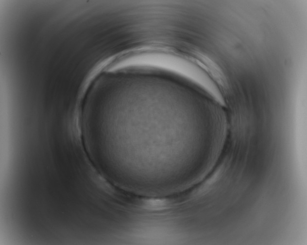 X0000092071180200709262040