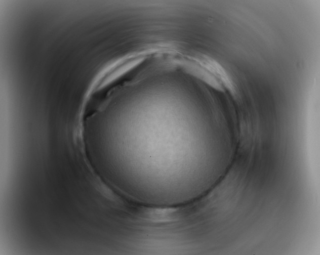 X0000092071184200709262040