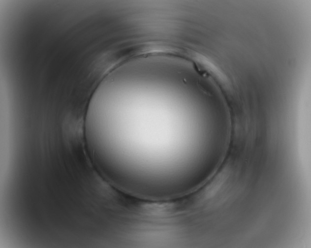X0000092071185200709262040