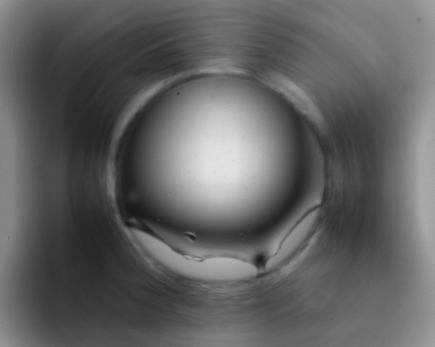 X0000092071188200709262040