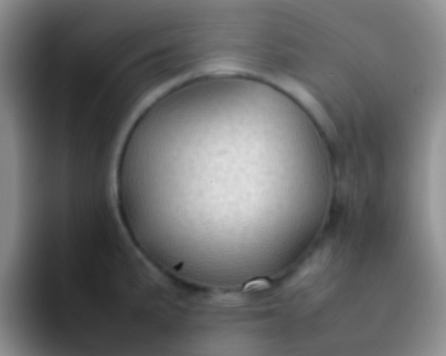 X0000092071191200709262040