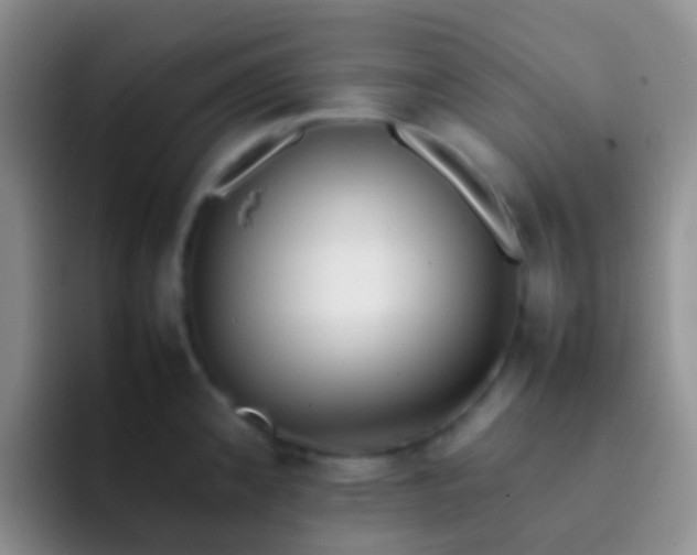X0000092071192200709262040
