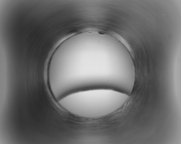 X0000092071195200709262040