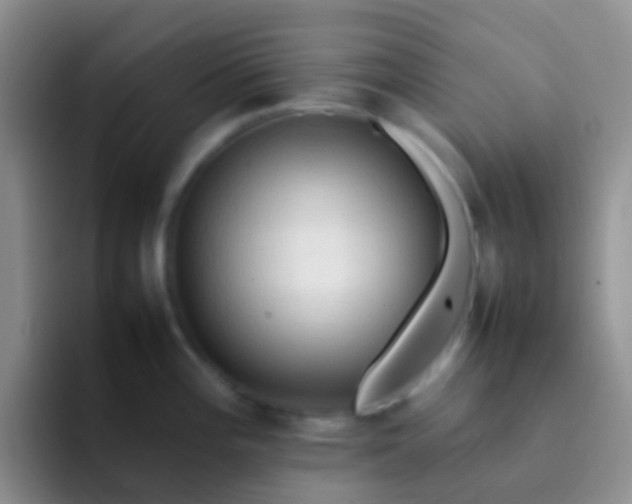 X0000092071196200709262040