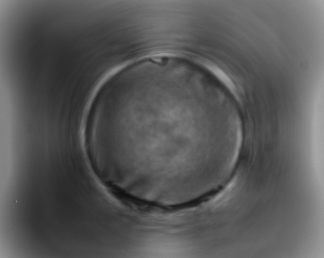 X0000092071197200709262040