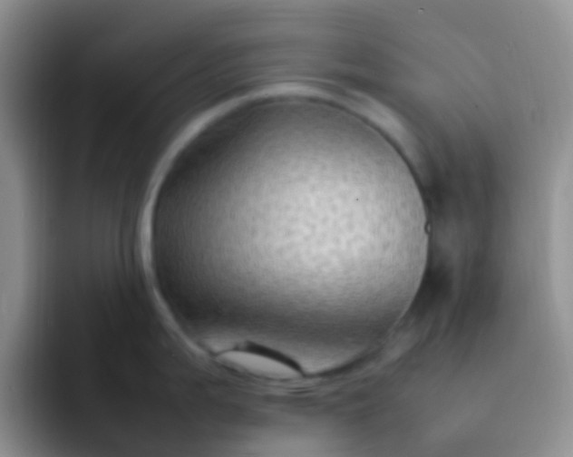 X0000092071199200709262040