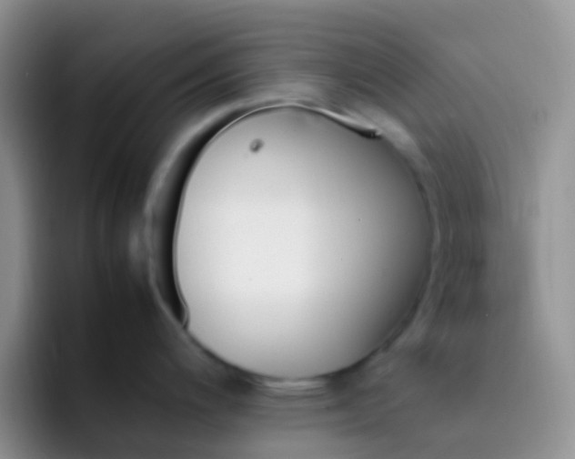 X0000092071200200709262040