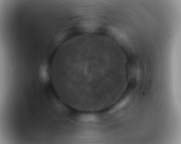 X0000092071202200709262040