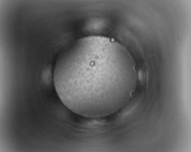 X0000092071203200709262040