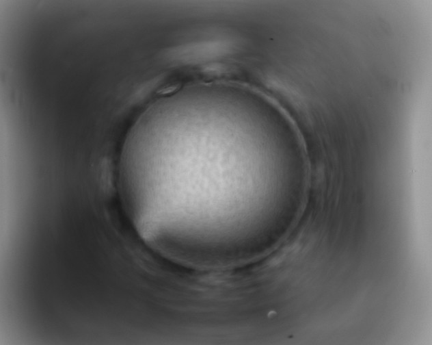 X0000092071205200709262040