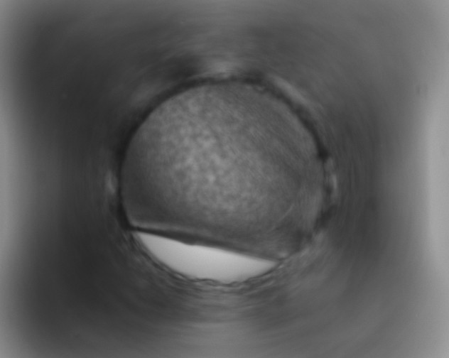 X0000092071206200709262040