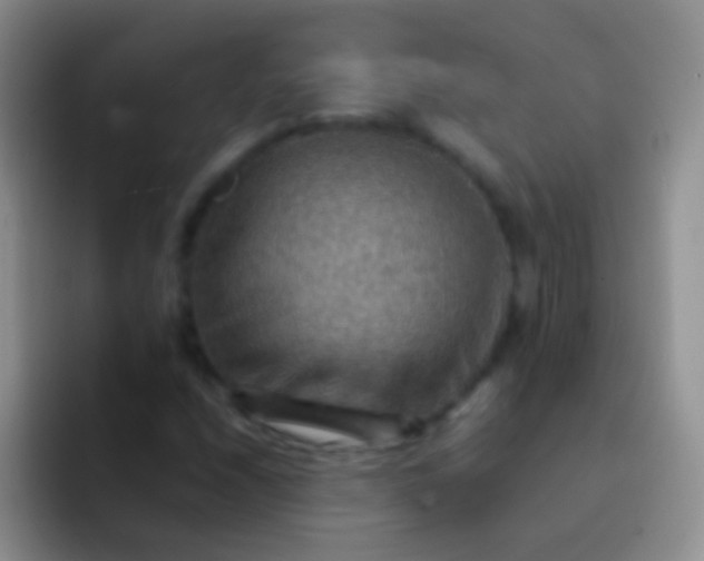 X0000092071208200709262040