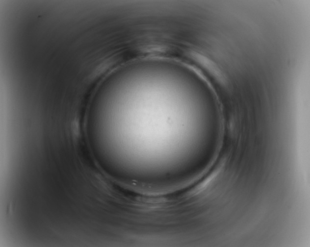 X0000092071209200709262040