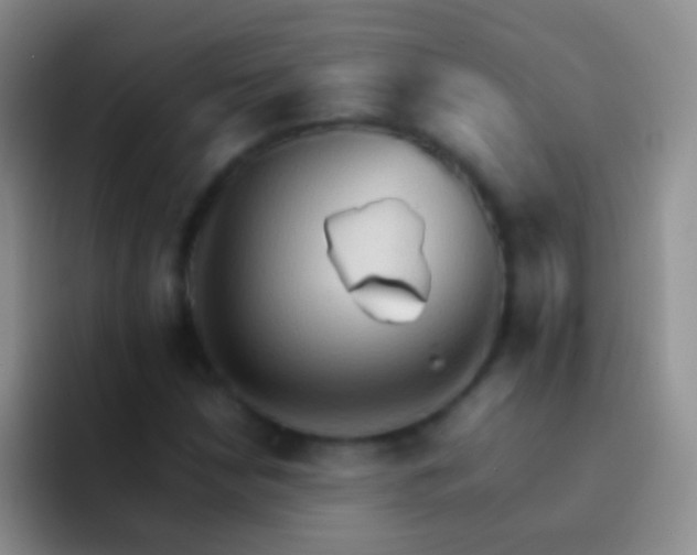 X0000092071210200709262040