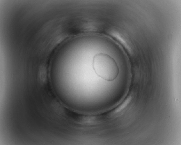X0000092071211200709262040
