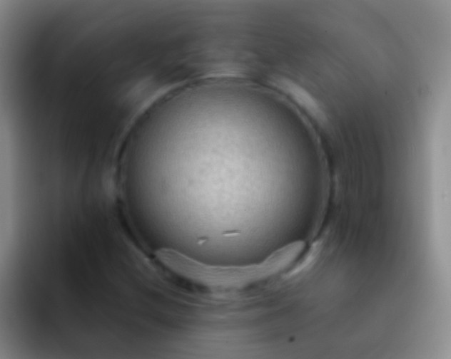 X0000092071212200709262040