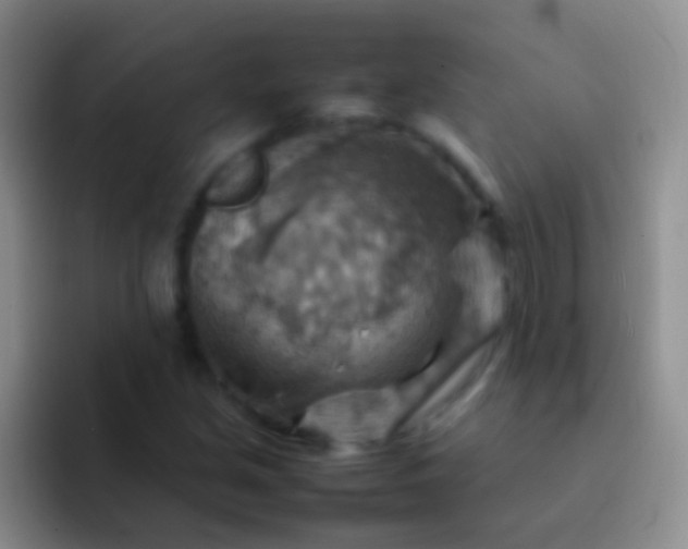 X0000092071213200709262040
