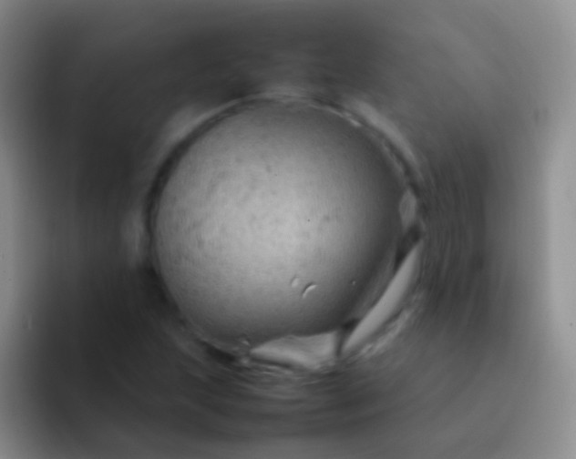 X0000092071215200709262040