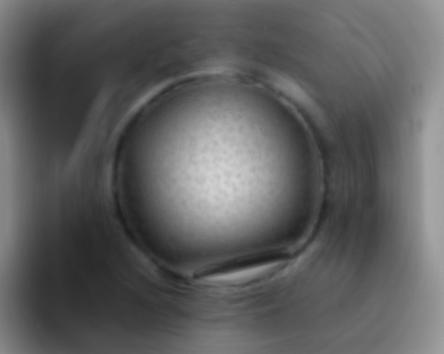 X0000092071216200709262040