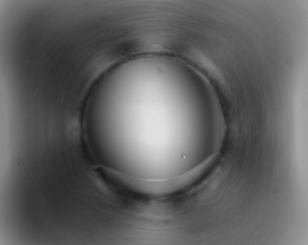 X0000092071218200709262040
