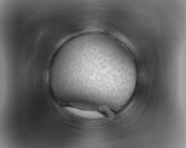 X0000092071220200709262040